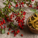 Barberry plant branches with bright red oval berries beside a small wooden bowl of dried Berberis root pieces on a linen background