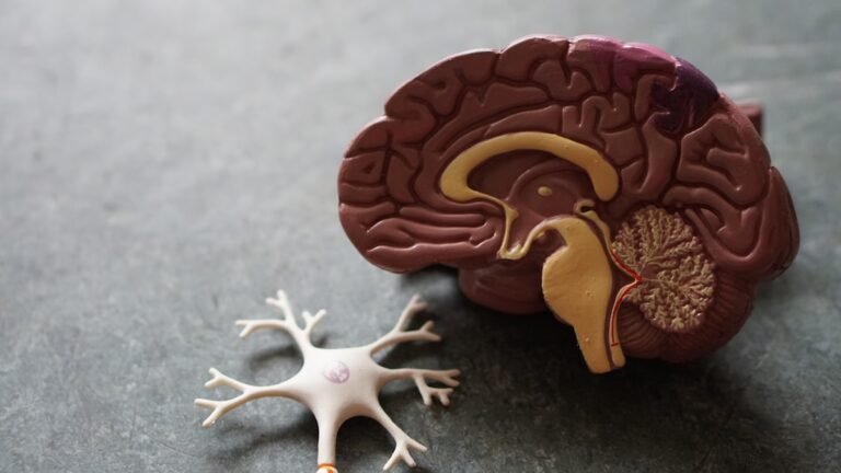 Abstract illustration of a human brain beside colorful healthy foods including berries, leafy greens, and fermented vegetables on a soft neutral background